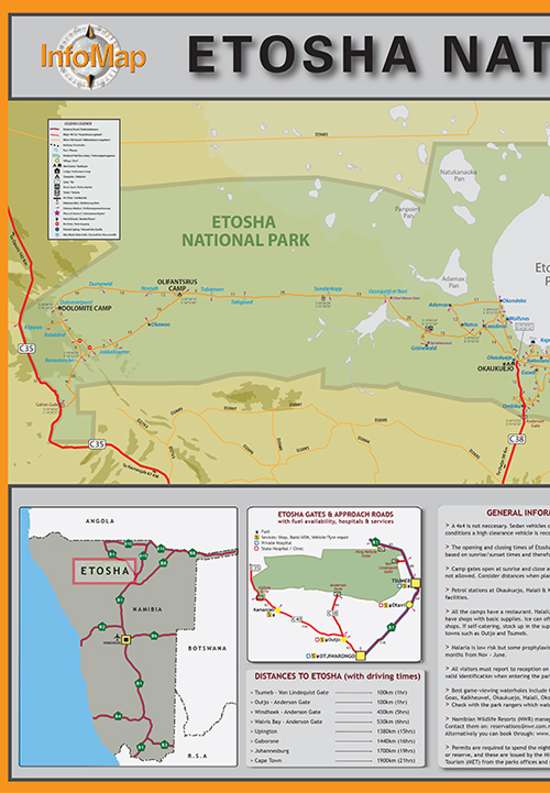 Etosha National Park - Digital PDF Map - Image 2