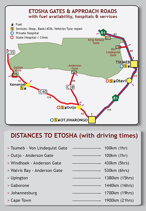 Etosha National Park - Digital PDF Map - Image 6