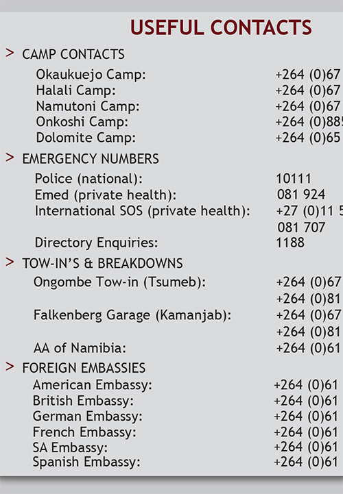 Etosha National Park - Digital PDF Map - Image 7